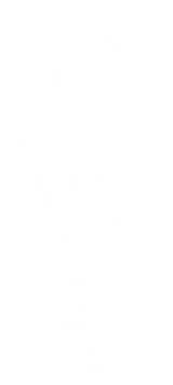 Nightvision Artists monogram
